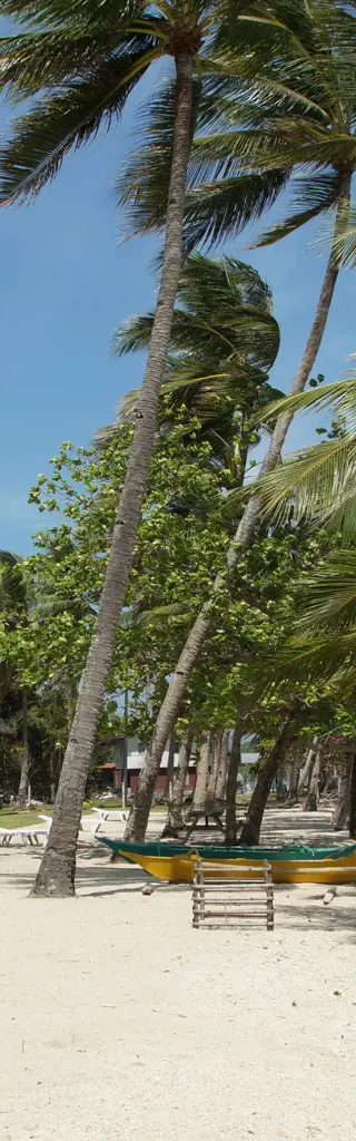 Inselhüpfen Philippinen – über und unter Wasser